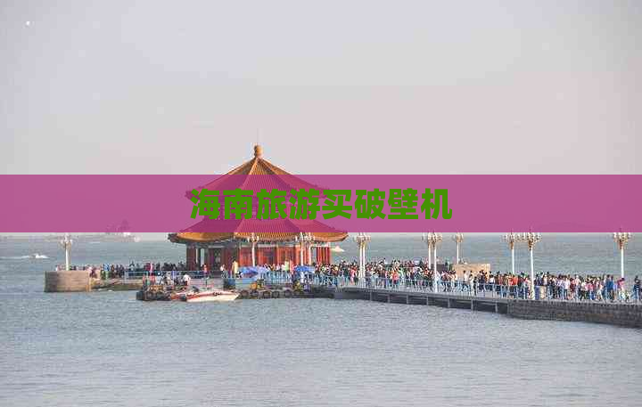 海南旅游买破壁机