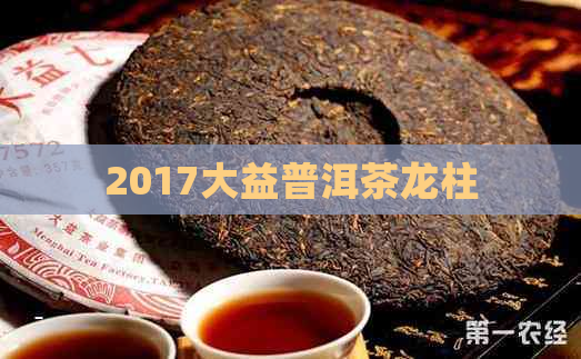 2017大益普洱茶龙柱