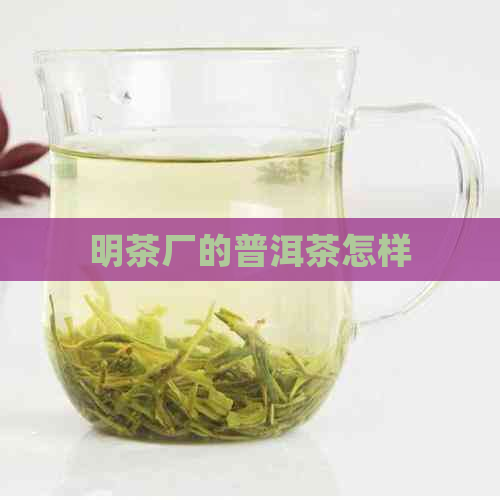 明茶厂的普洱茶怎样