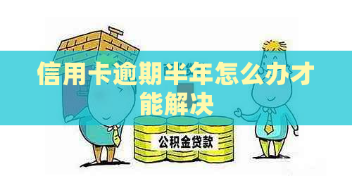 信用卡逾期半年怎么办才能解决