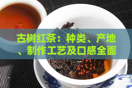 古树红茶：种类、产地、制作工艺及口感全面解析