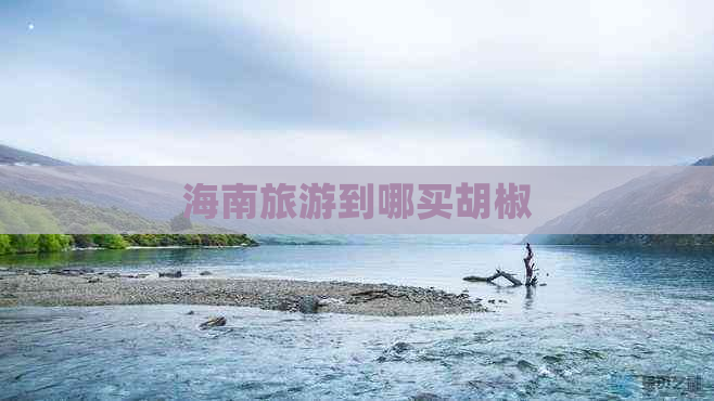 海南旅游到哪买胡椒