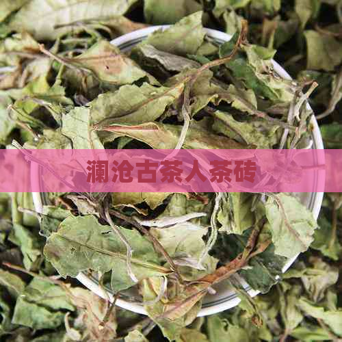 澜沧古茶人茶砖