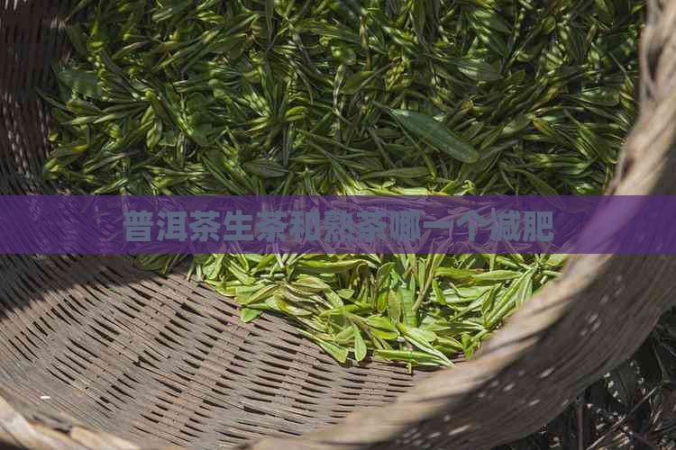 普洱茶生茶和熟茶哪一个减肥