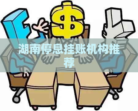 湖南停息挂账机构推荐