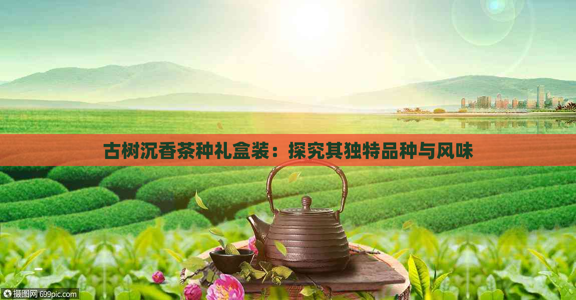 古树沉香茶种礼盒装：探究其独特品种与风味