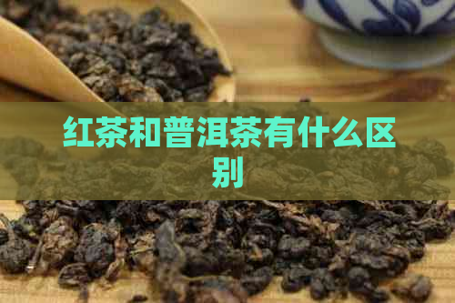 红茶和普洱茶有什么区别