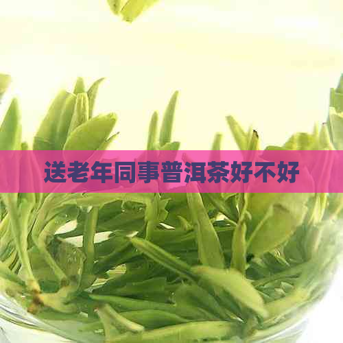 送老年同事普洱茶好不好