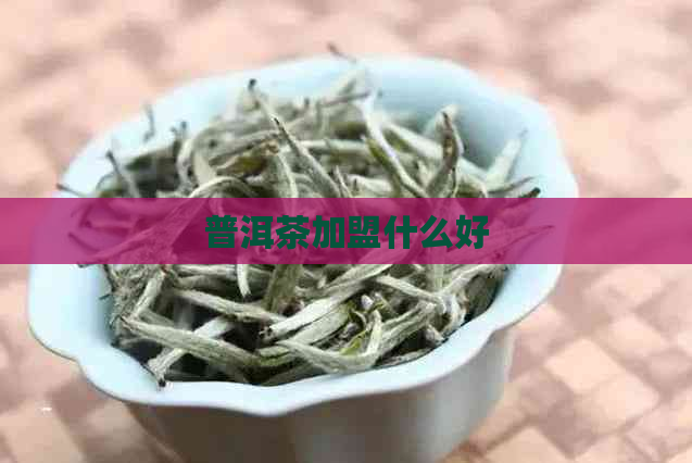 普洱茶加盟什么好