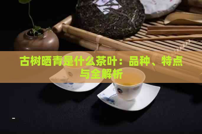 古树晒青是什么茶叶：品种、特点与全解析