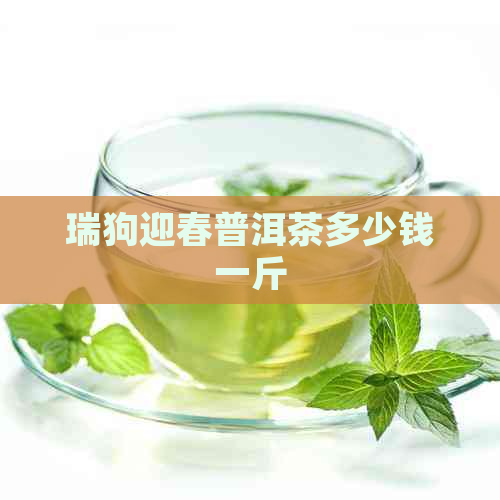 瑞狗迎春普洱茶多少钱一斤