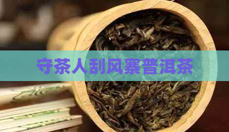 守茶人刮风寨普洱茶