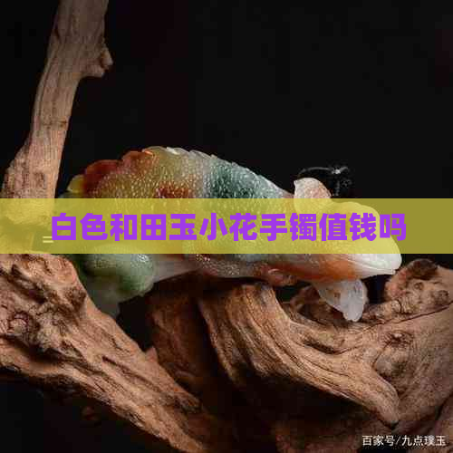 白色和田玉小花手镯值钱吗