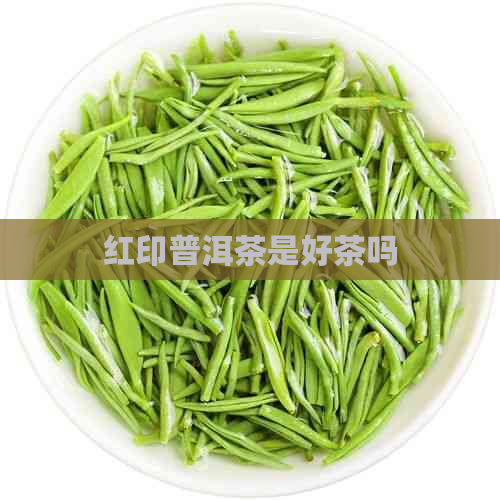 红印普洱茶是好茶吗