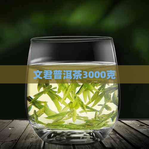 文君普洱茶3000克