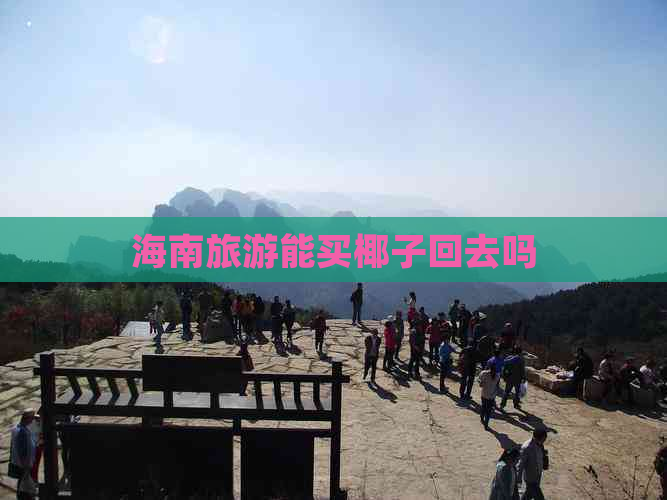 海南旅游能买椰子回去吗