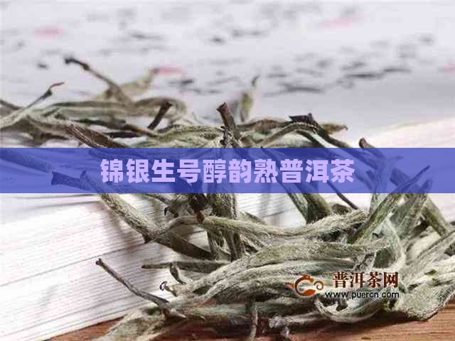 锦银生号醇韵熟普洱茶