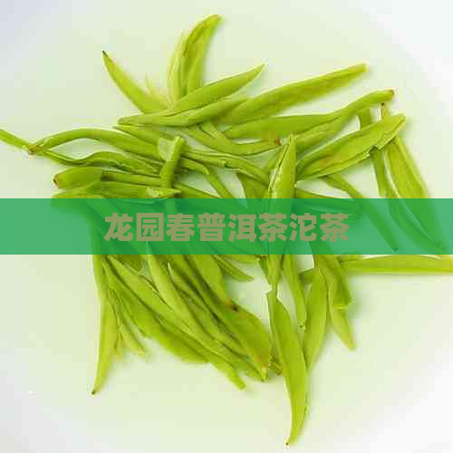 龙园春普洱茶沱茶