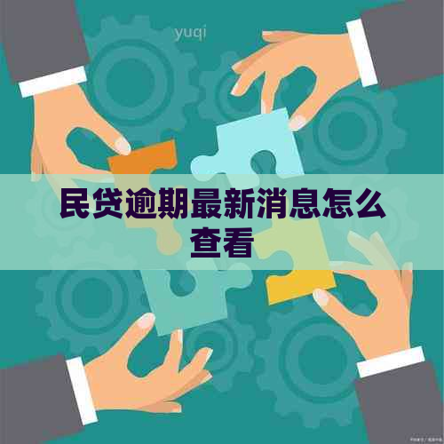 民贷逾期最新消息怎么查看