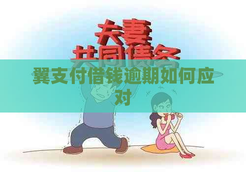 翼支付借钱逾期如何应对