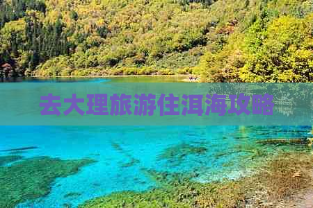 去大理旅游住洱海攻略