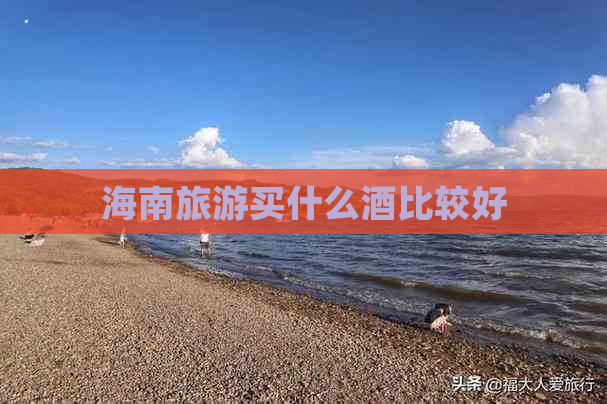 海南旅游买什么酒比较好