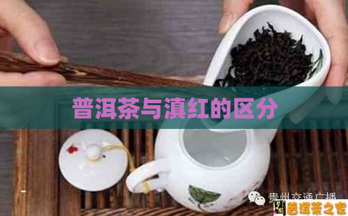 普洱茶与滇红的区分