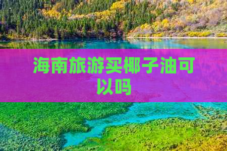 海南旅游买椰子油可以吗