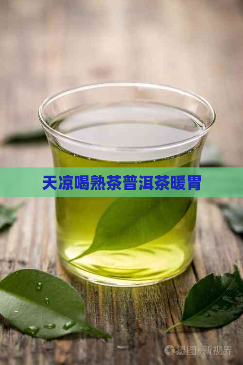 天凉喝熟茶普洱茶暖胃