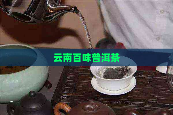 云南百味普洱茶