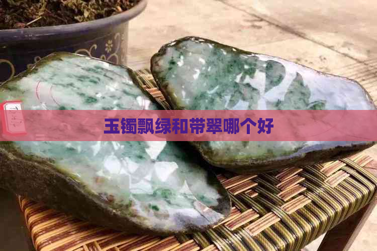 玉镯飘绿和带翠哪个好