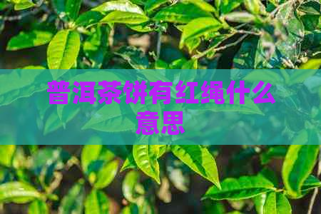 普洱茶饼有红绳什么意思