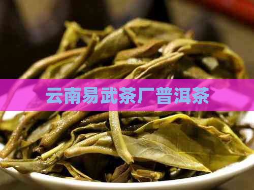 云南易武茶厂普洱茶