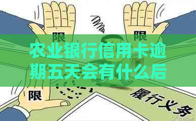 农业银行信用卡逾期五天会有什么后果