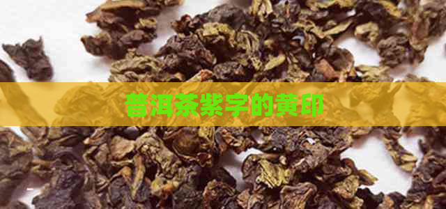 普洱茶紫字的黄印