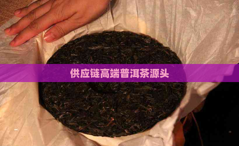 供应链高端普洱茶源头