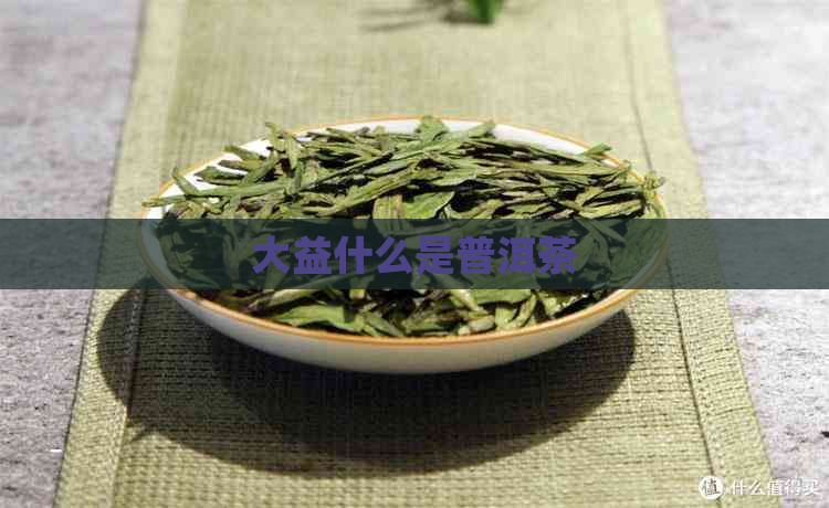 大益什么是普洱茶