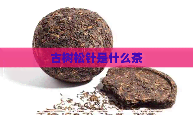 古树松针是什么茶