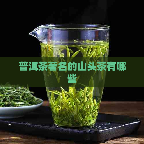 普洱茶著名的山头茶有哪些