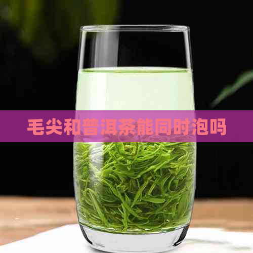 毛尖和普洱茶能同时泡吗