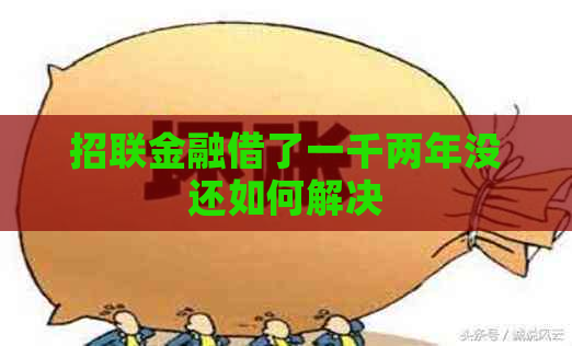 招联金融借了一千两年没还如何解决