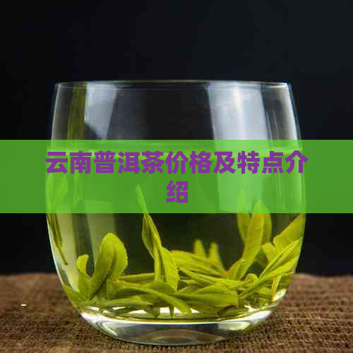 云南普洱茶价格及特点介绍