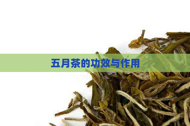 五月茶的功效与作用