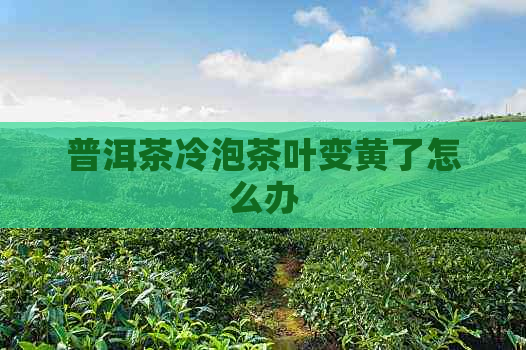 普洱茶冷泡茶叶变黄了怎么办