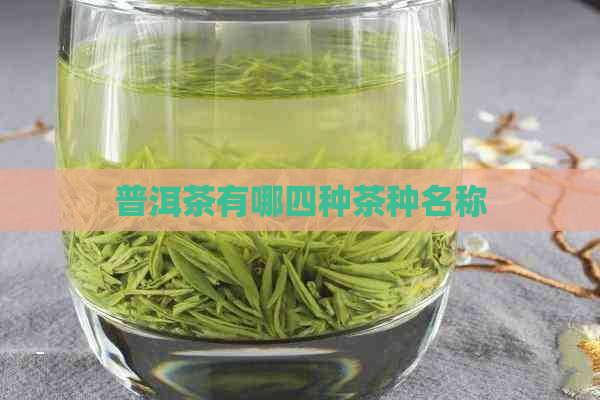 普洱茶有哪四种茶种名称