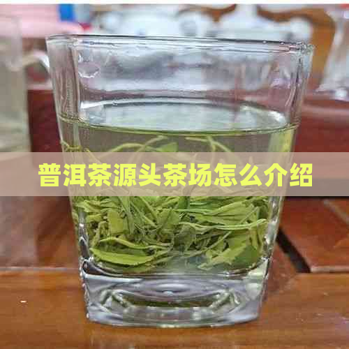 普洱茶源头茶场怎么介绍