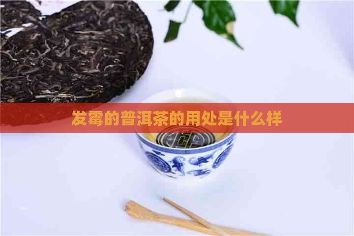 发霉的普洱茶的用处是什么样