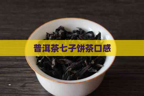 普洱茶七子饼茶口感