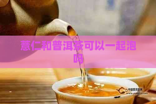 薏仁和普洱茶可以一起泡吗