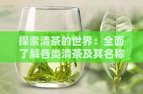 探索清茶的世界：全面了解各类清茶及其名称，满足您的品茶需求